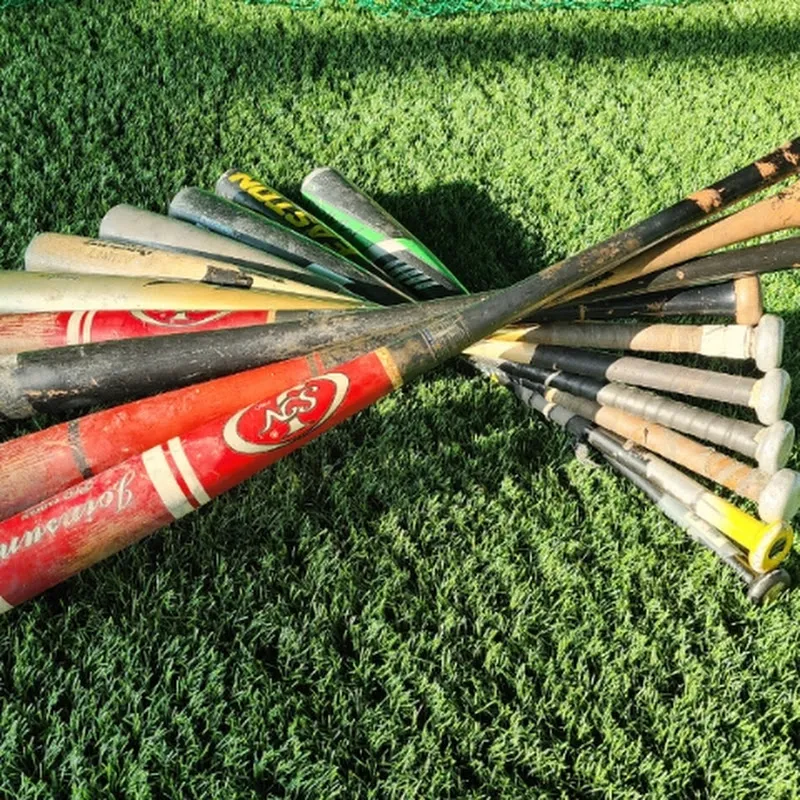 就愛看棒球_郭媽