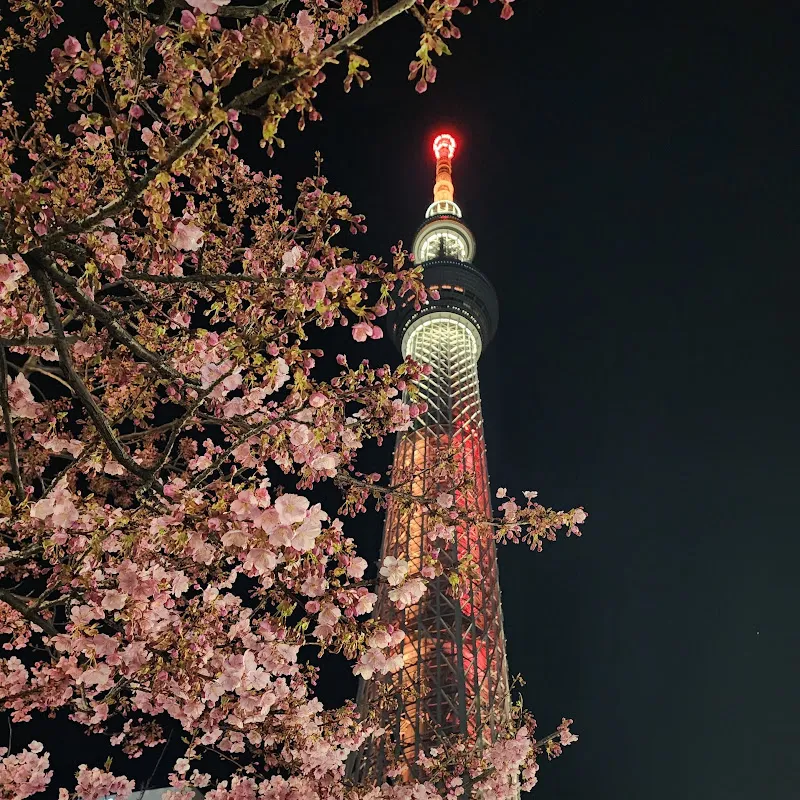 𝑺𝒉𝒊𝒛𝒖𝒌𝒂 𝑻𝒓𝒂𝒗𝒆𝒍  靜旅行