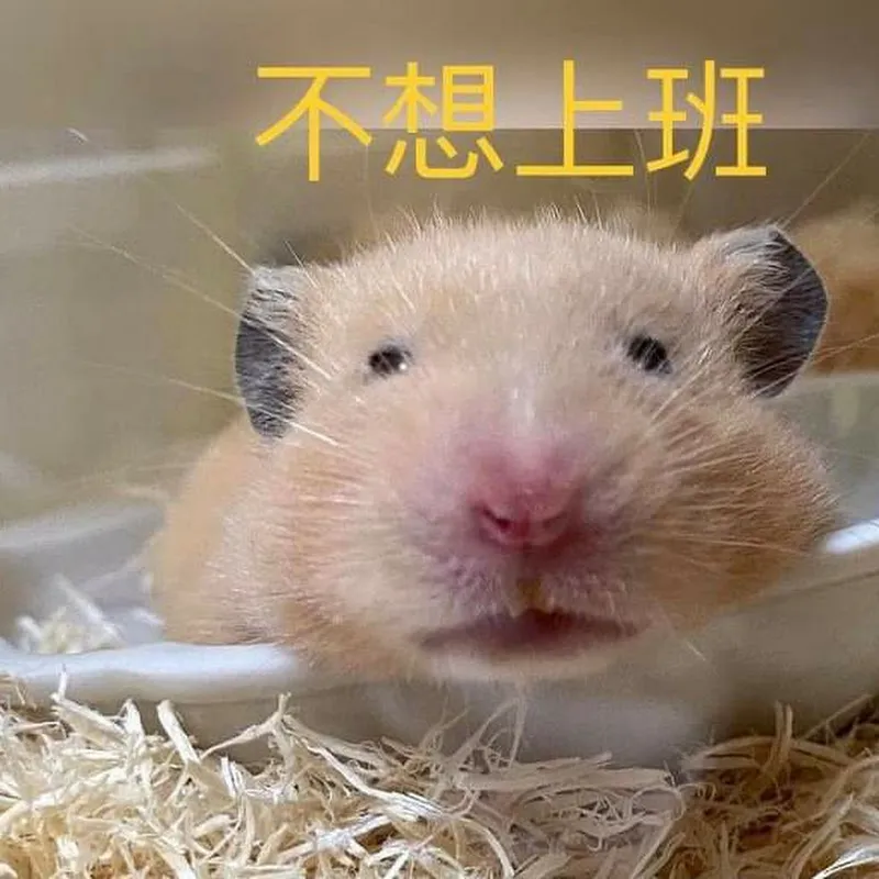 Dream Time(淘氣庫巴)