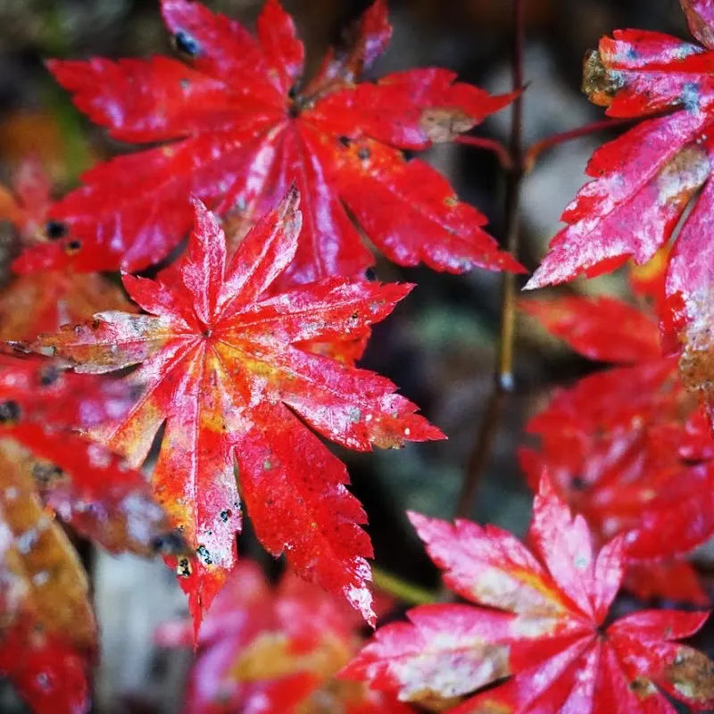 takafumi 登山日記