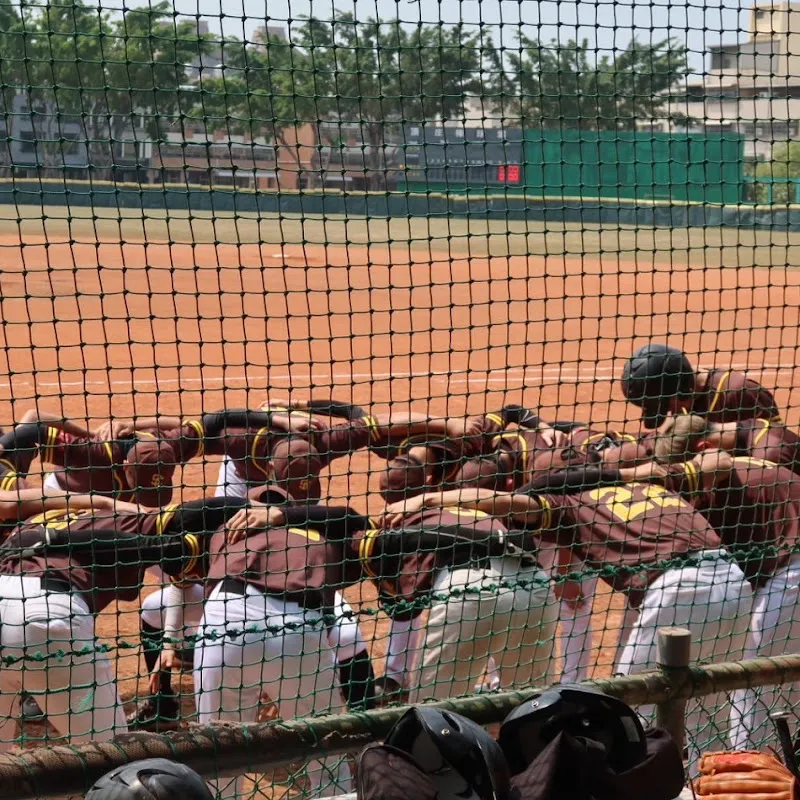 實踐大學棒球隊